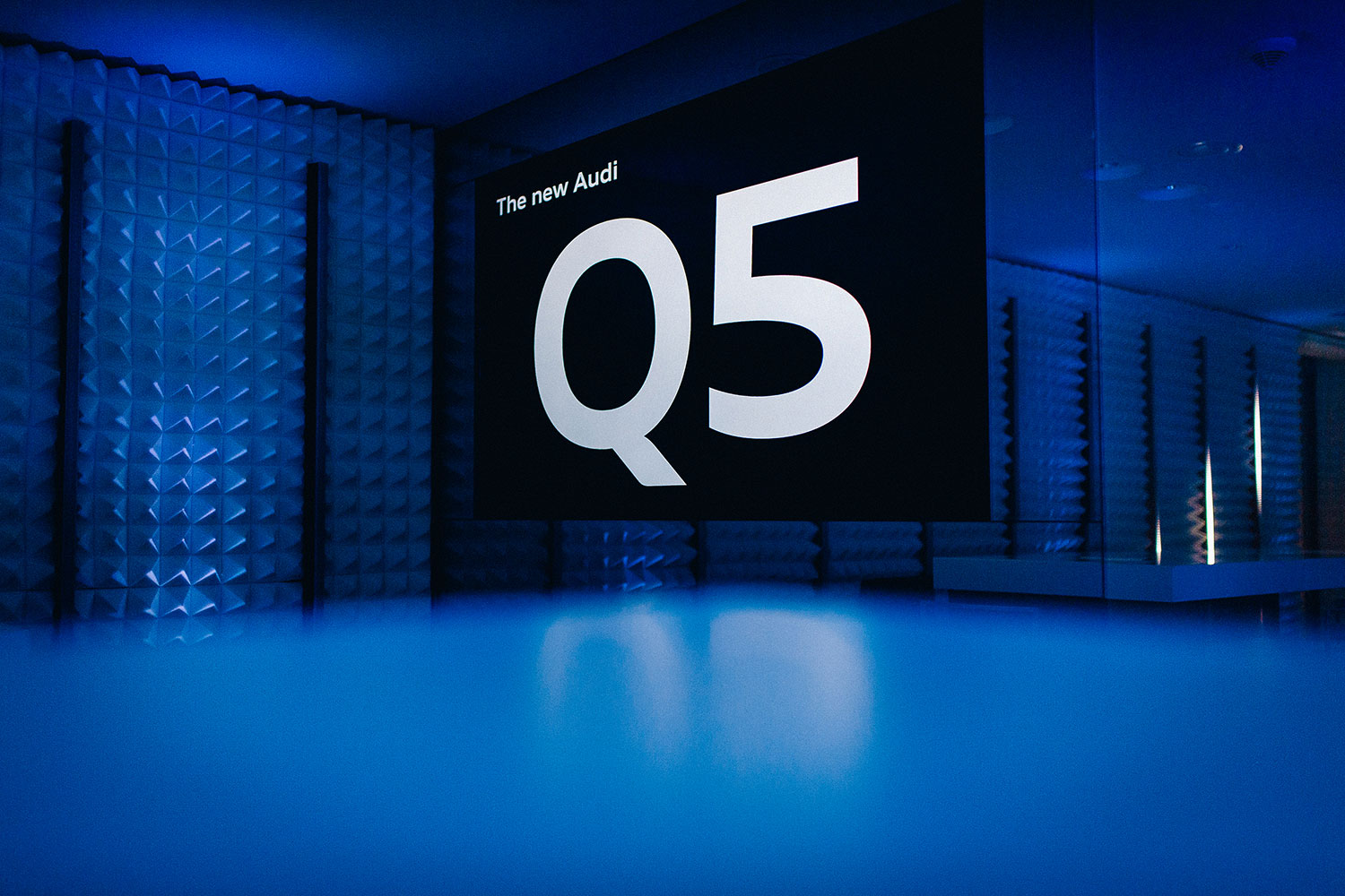 StudioNOW, audi, q5, premiere, Audi q5, auto, auto-city, Anton Unai, Art, Color, colorful, paint