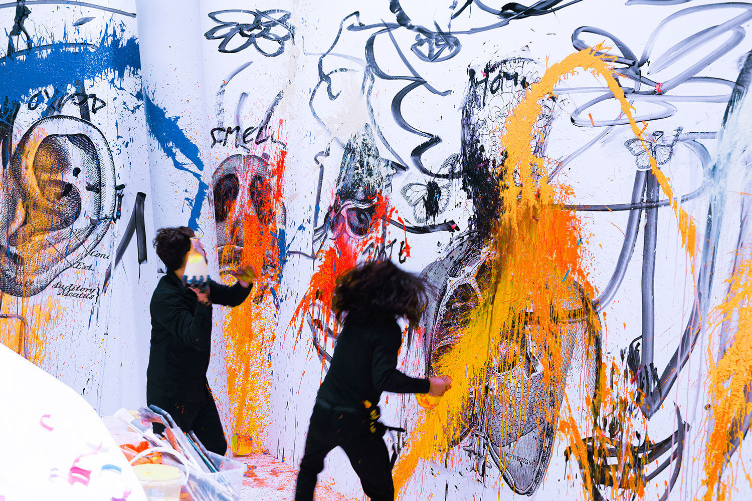 StudioNOW, audi, q5, premiere, Audi q5, auto, auto-city, Anton Unai, Art, Color, colorful, paint